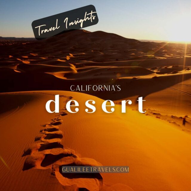 California Desert Travel Insights